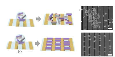 Fin-LED assembly schematic (Kookmin University)